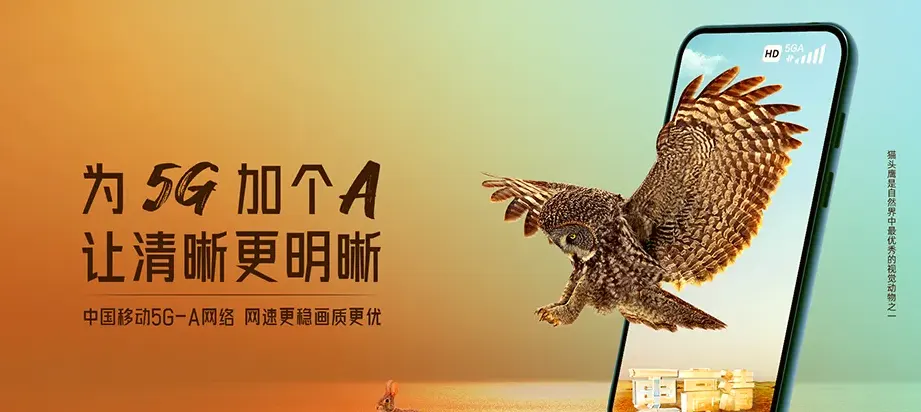 万全区万全区宣平街道办事处筹委会 移动宽带